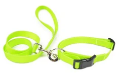 Hágæða Blómstrandi Grænn Lime Litur Vatnsheldur Mýkt Matur Öruggur Öruggur Hundur Snerti og kraga Mjúk efni til að ganga Hundur